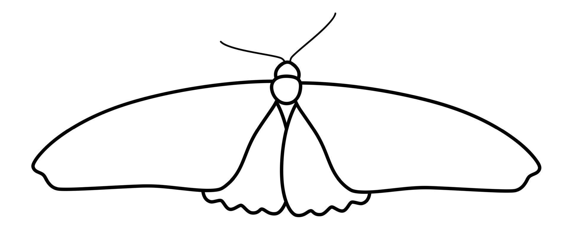 Butterfly black and white outline illustration. Coloring book or page for kids vector