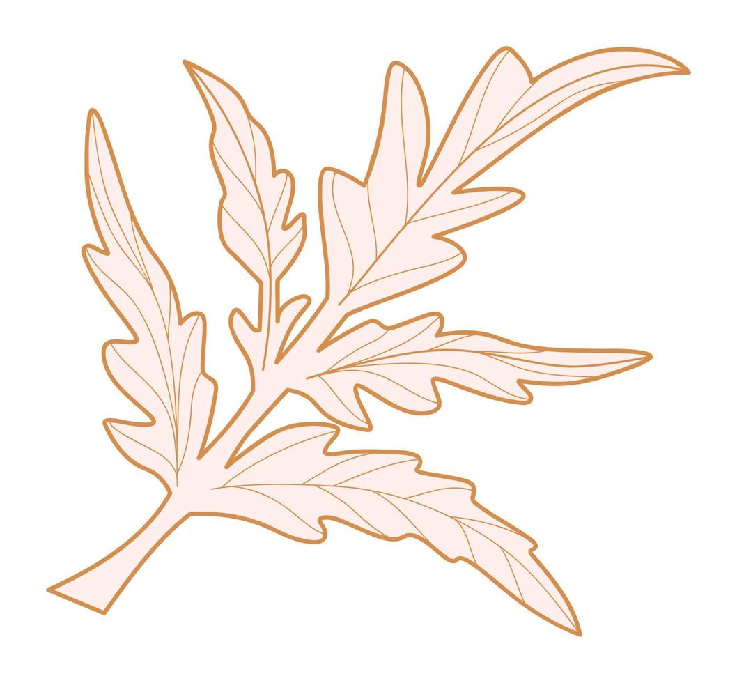 Poppy leaf silhouette. Plant leaves design element vector illustration