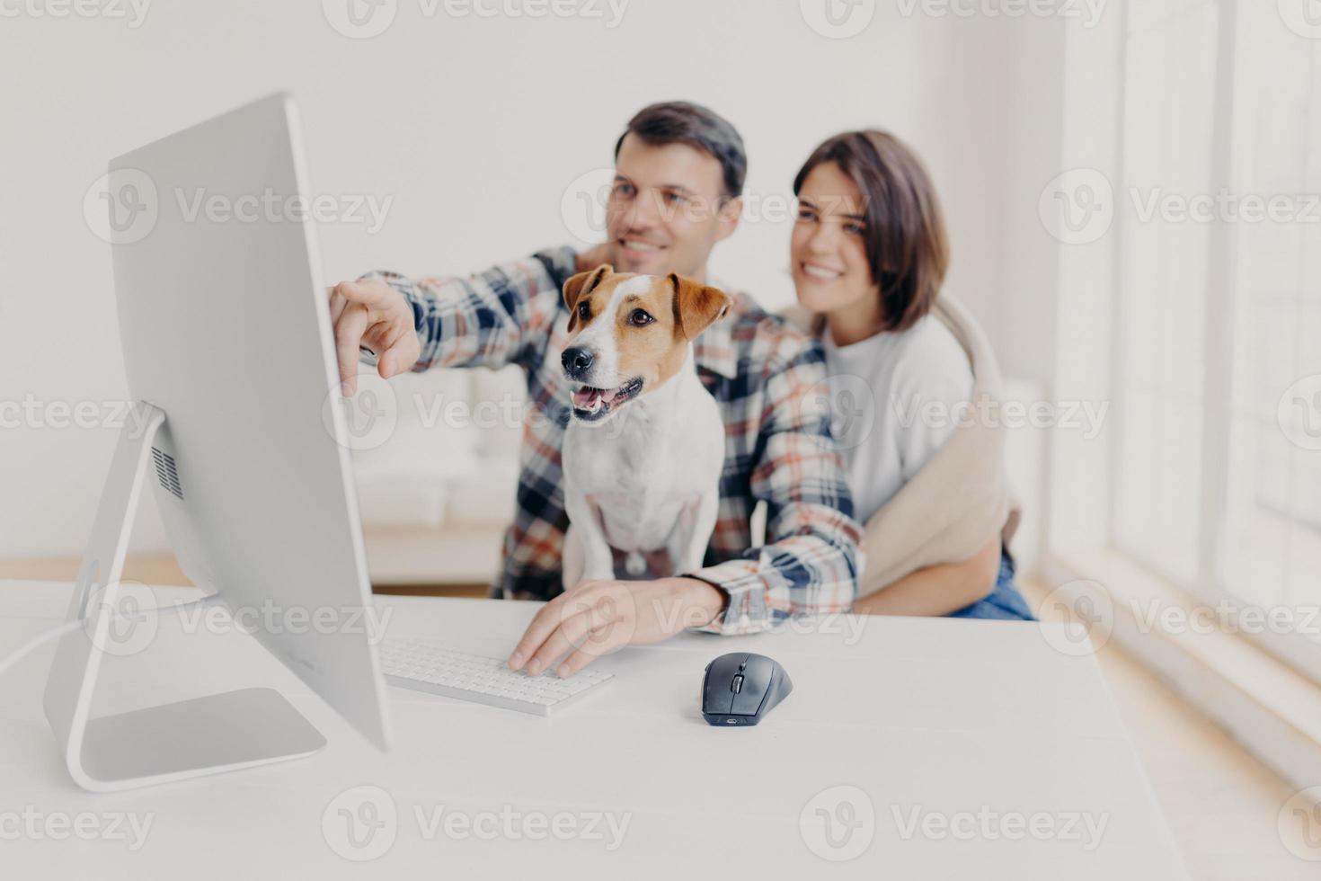Pleased young woman and man watch computer content, point into screen of monitor, watch funny video, focus on dog, pose at white desktop, search movie on website, develop new startup project photo