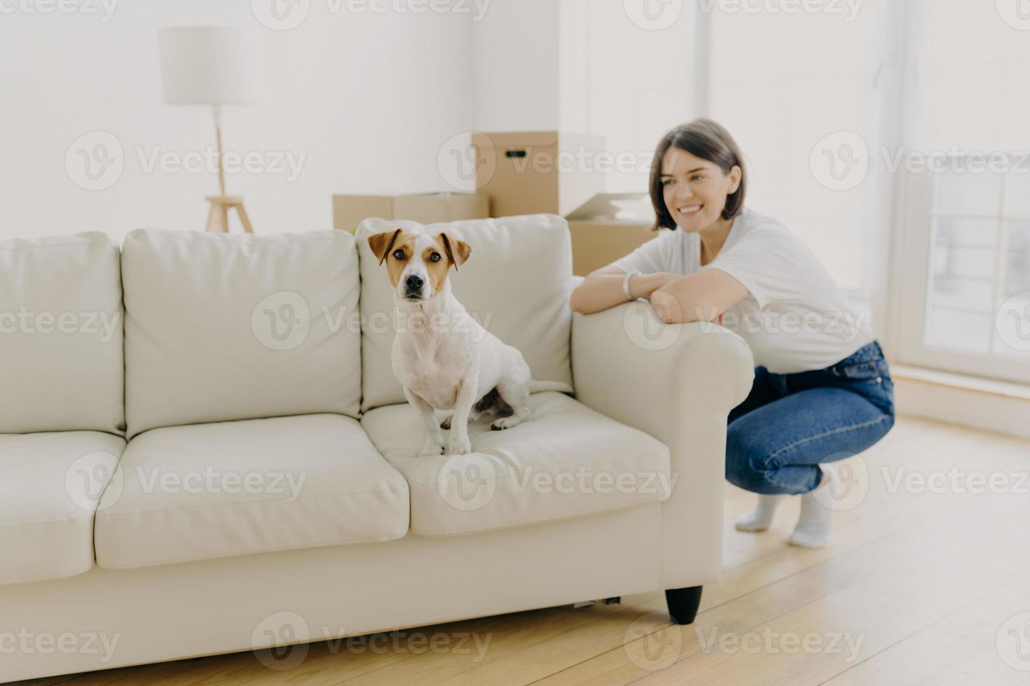 mujer morena feliz con ropa informal, se inclina a un lado del sofá blanco, el perro doméstico de pedigrí posa en el sofá en un apartamento vacío cerca de la dueña de la mujer, cajas desempacadas en el fondo. personas y concepto de hogar foto