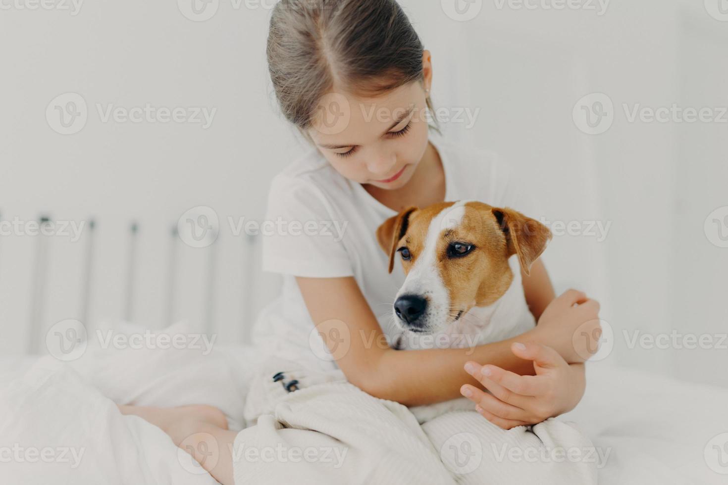 Cropped image of caring little girl in white t shirt, cuddles small pedigree dog, expresses big love to animal, poses on bed in white room, enjoys domestic atmosphere. Child with favourite pet photo