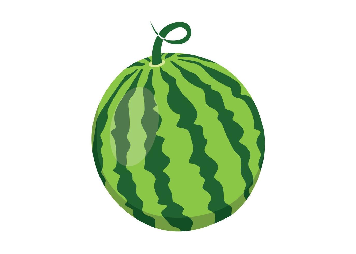watermelon shape illustration design vector
