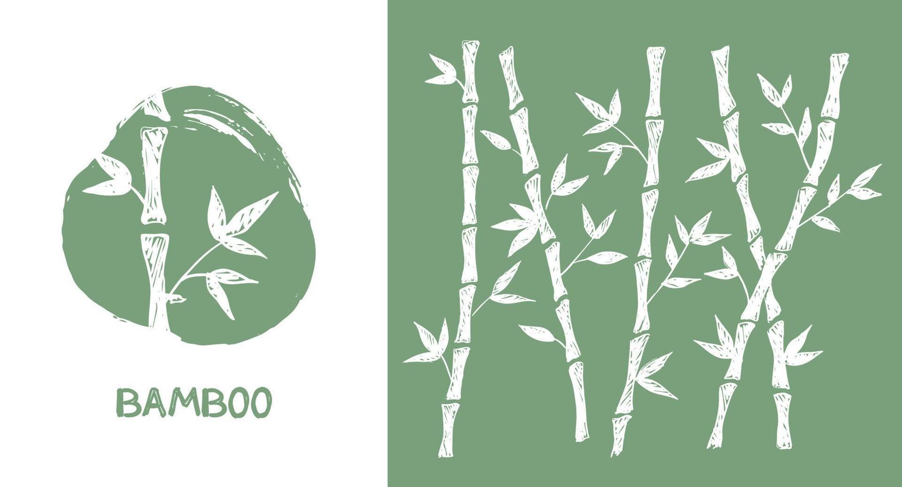 Bamboo tree. Hand drawn style. Vector illustrations.