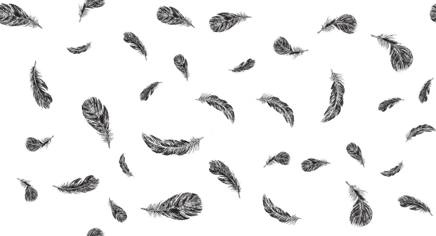 Set of bird feathers. Hand drawn sketch style. vector