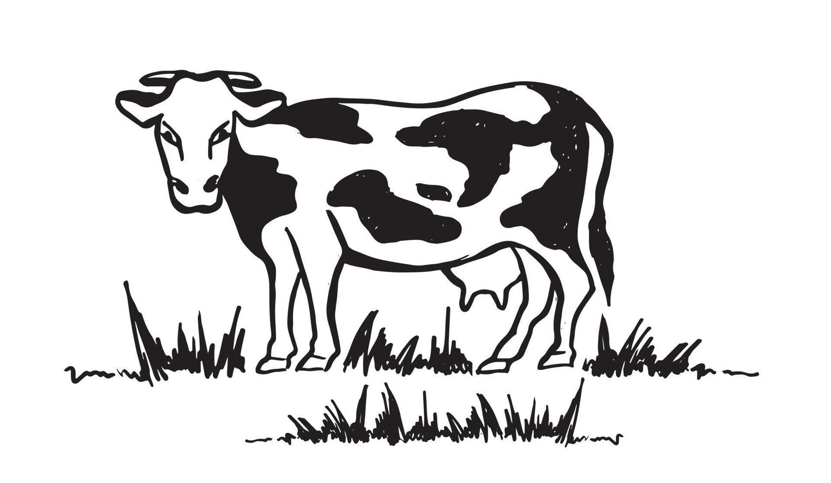 vaca en negro sobre fondo blanco. vector. vector