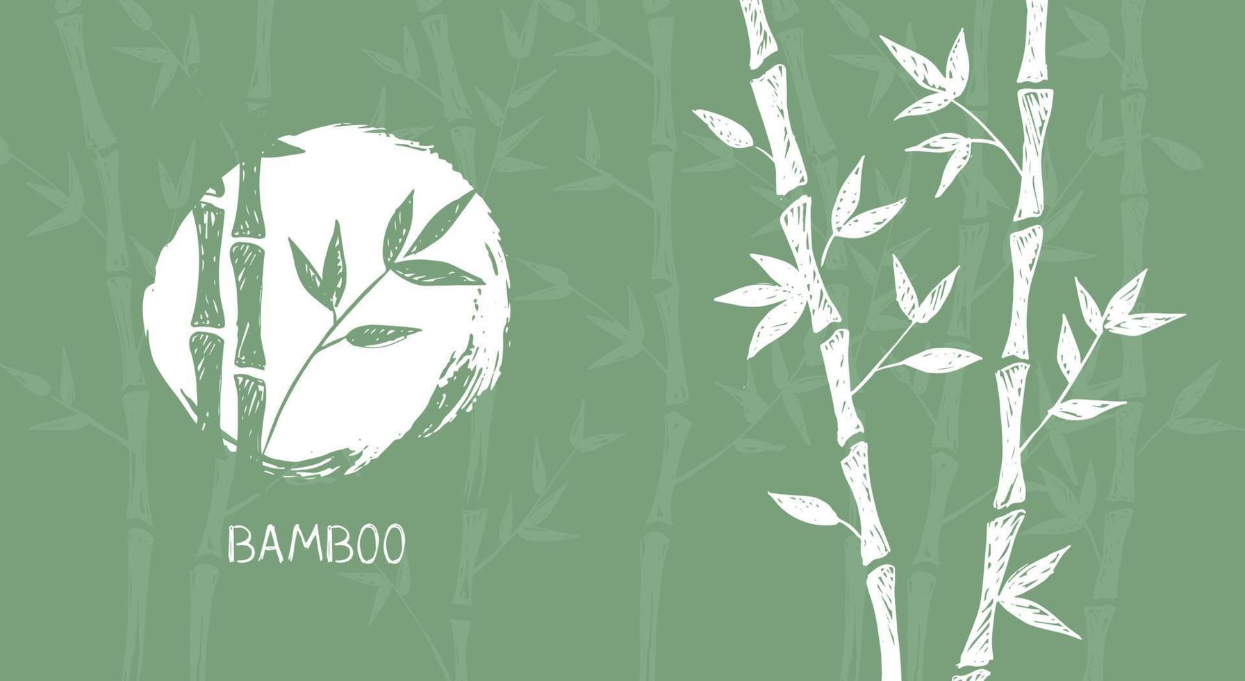 Bamboo tree. Hand drawn style. Vector illustrations.