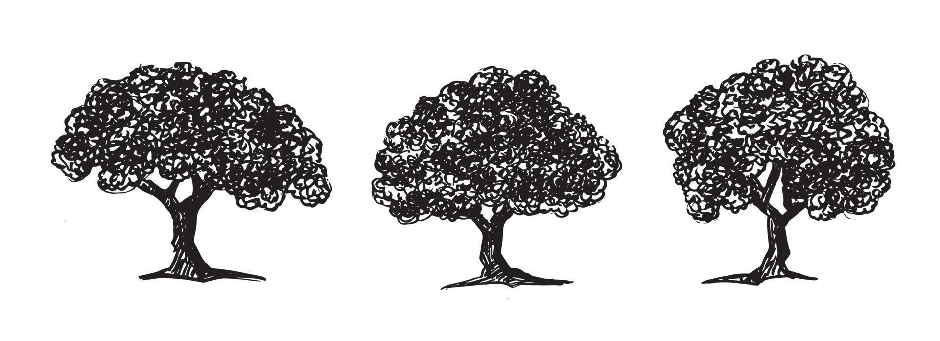 Tree, Hand drawn style, vector illustration.