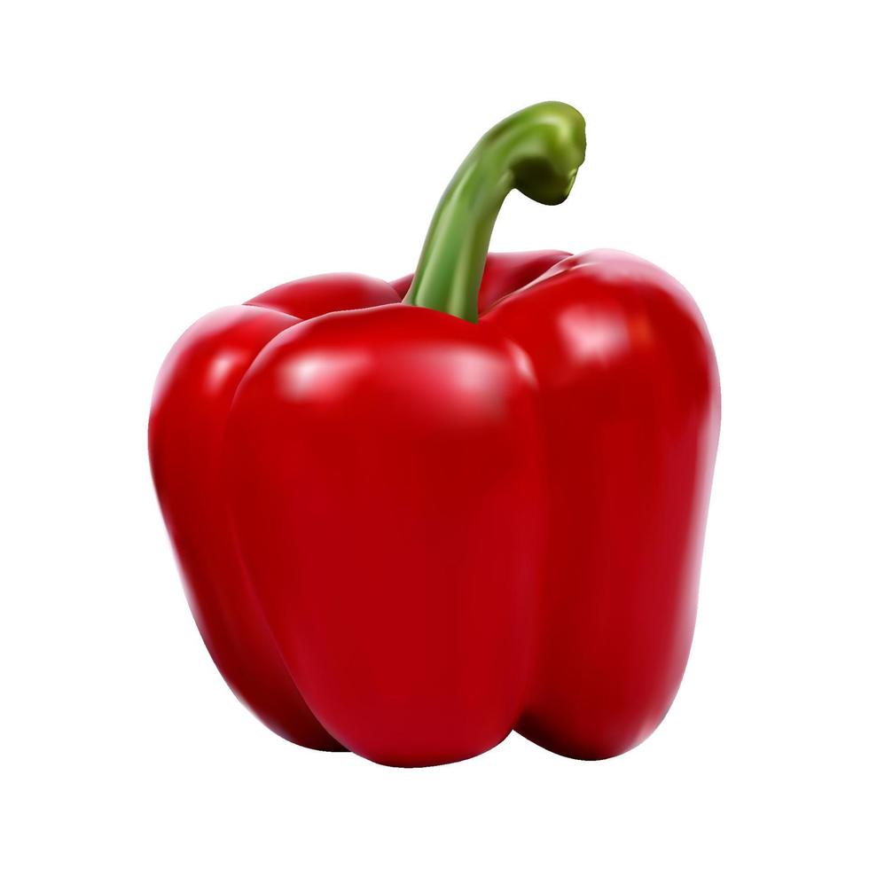 Red realistic pepper isolated on white background. Vegetable, healthy food. Vector