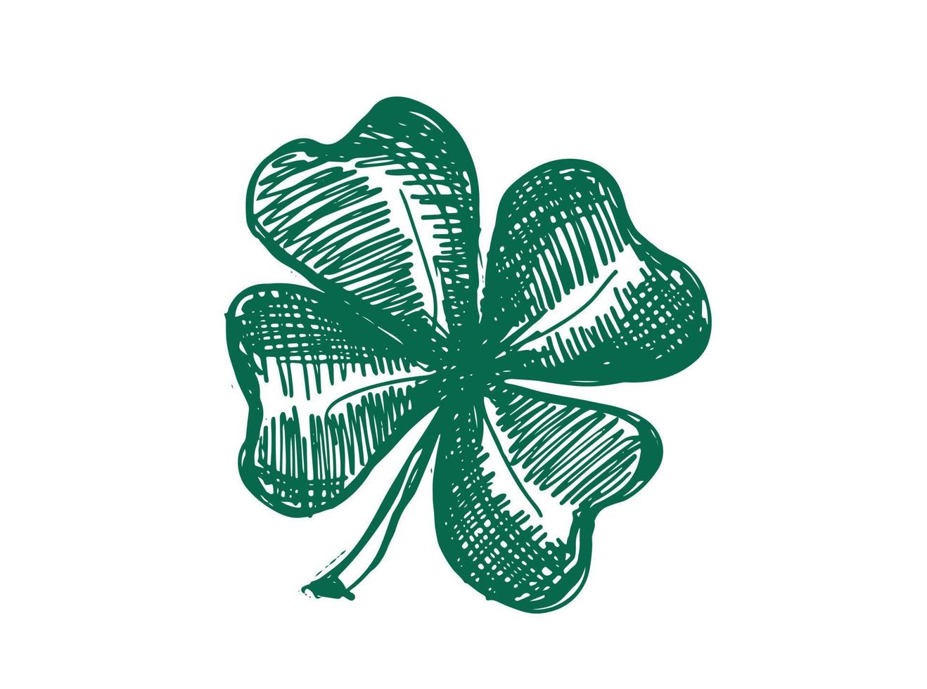 Clover, St. Patrick's Day. Hand drawn illustrations. Vector. vector