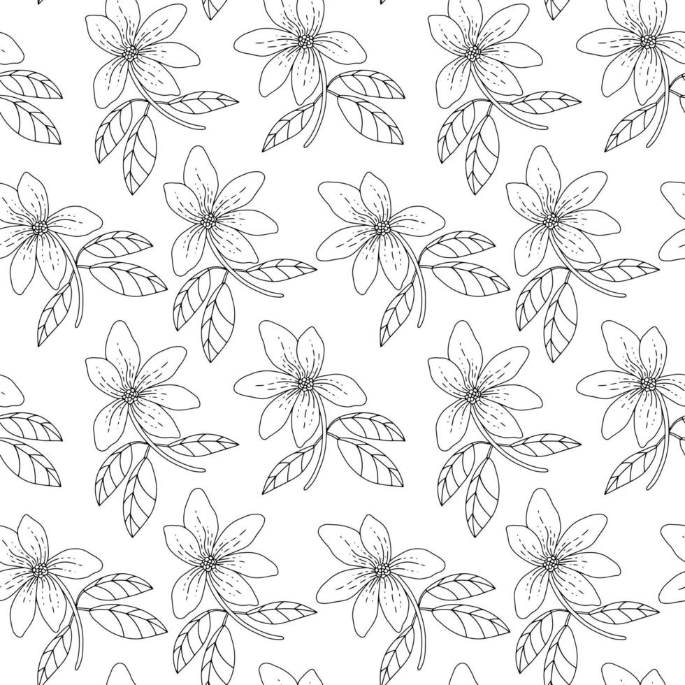 Botanical seamless pattern. Magnolia flowers on branches with leaves. Hand drawn black and white print. vector