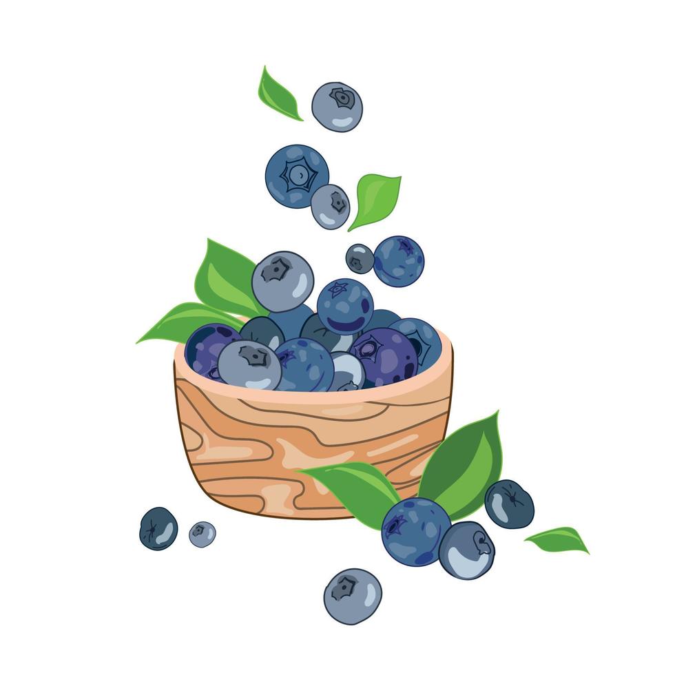 Blueberries flying into a wooden bowl vector illustration isolated on white background.Blueberries with leaves cartoon drawing.Summer berries.Natural organic nutrition.Sweet food.