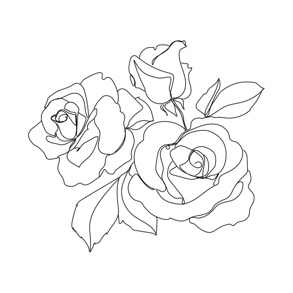 Sketch rose buds outlay vector minimalistic illustration isolated on white background.Three rose flowers continuous line art for different design.Botanical design element