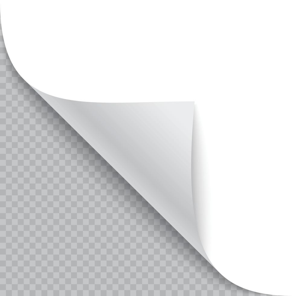 Curled corner of paper with shadow vector