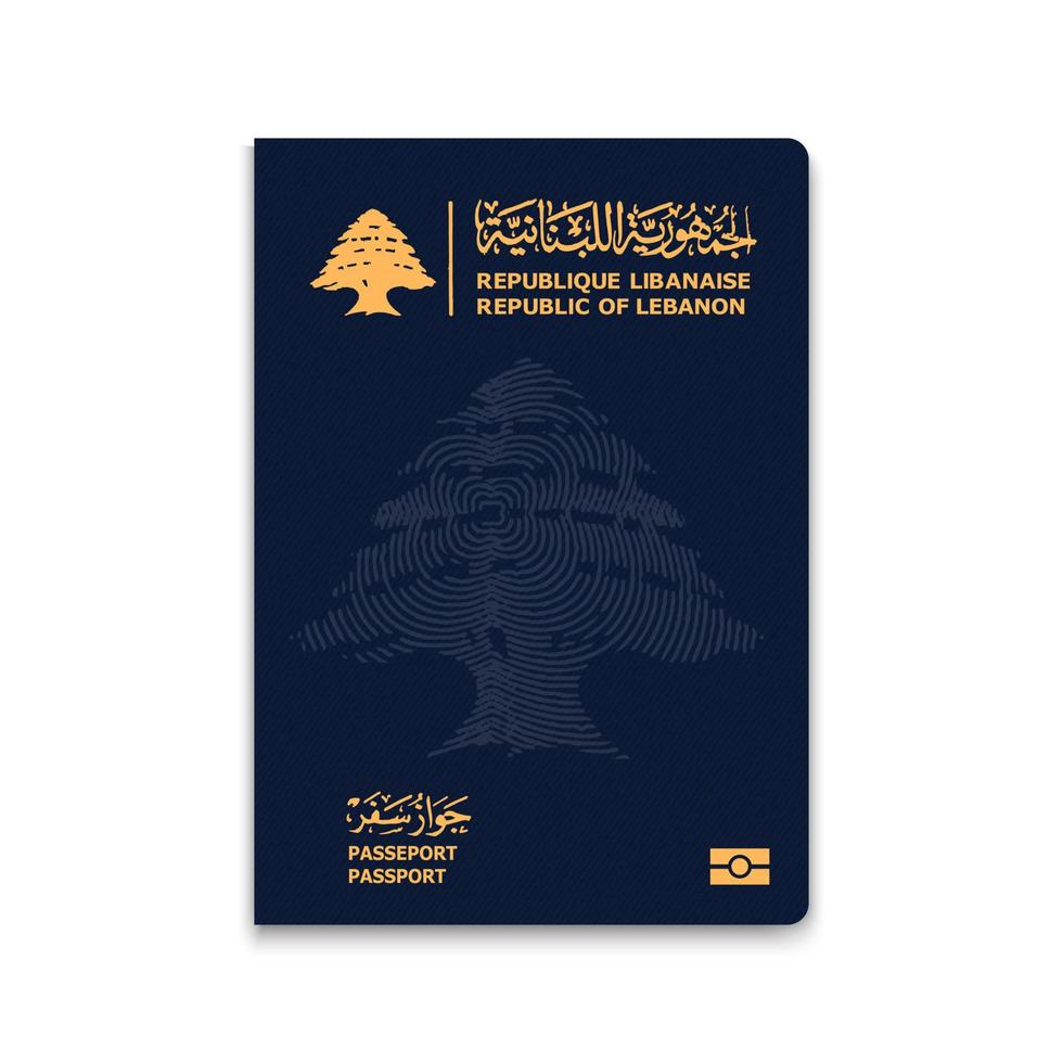 Realistic 3d Passport vector