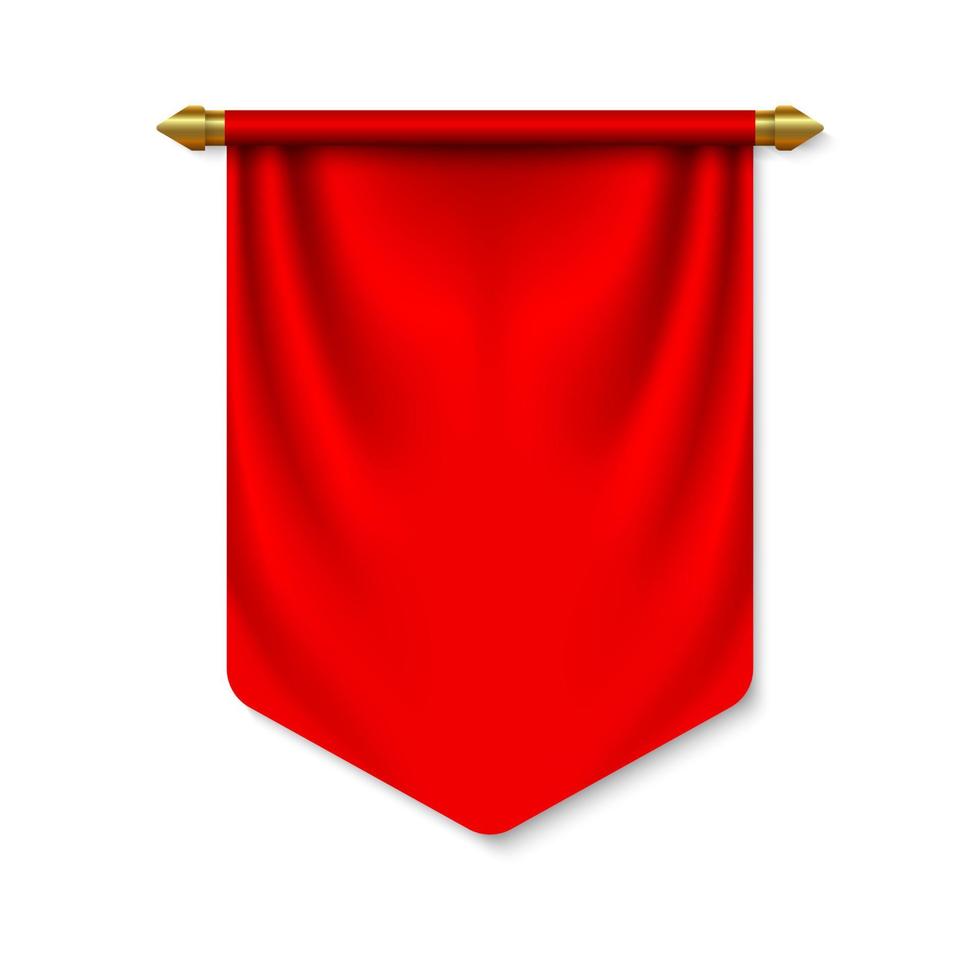 Empty 3D Pennant template vector