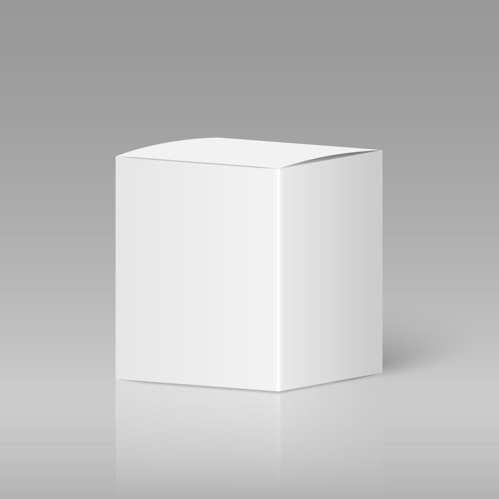 Realistic white blank box vector