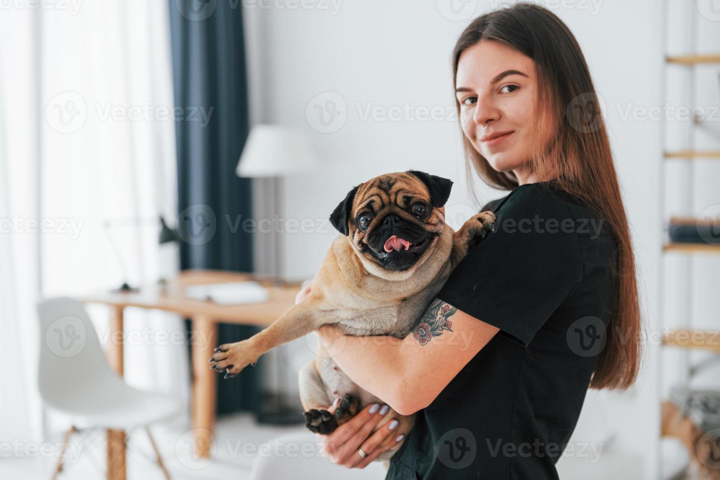 mujer sosteniendo al perro en las manos. pug está en el salón de aseo con un veterinario que está vestido de negro foto