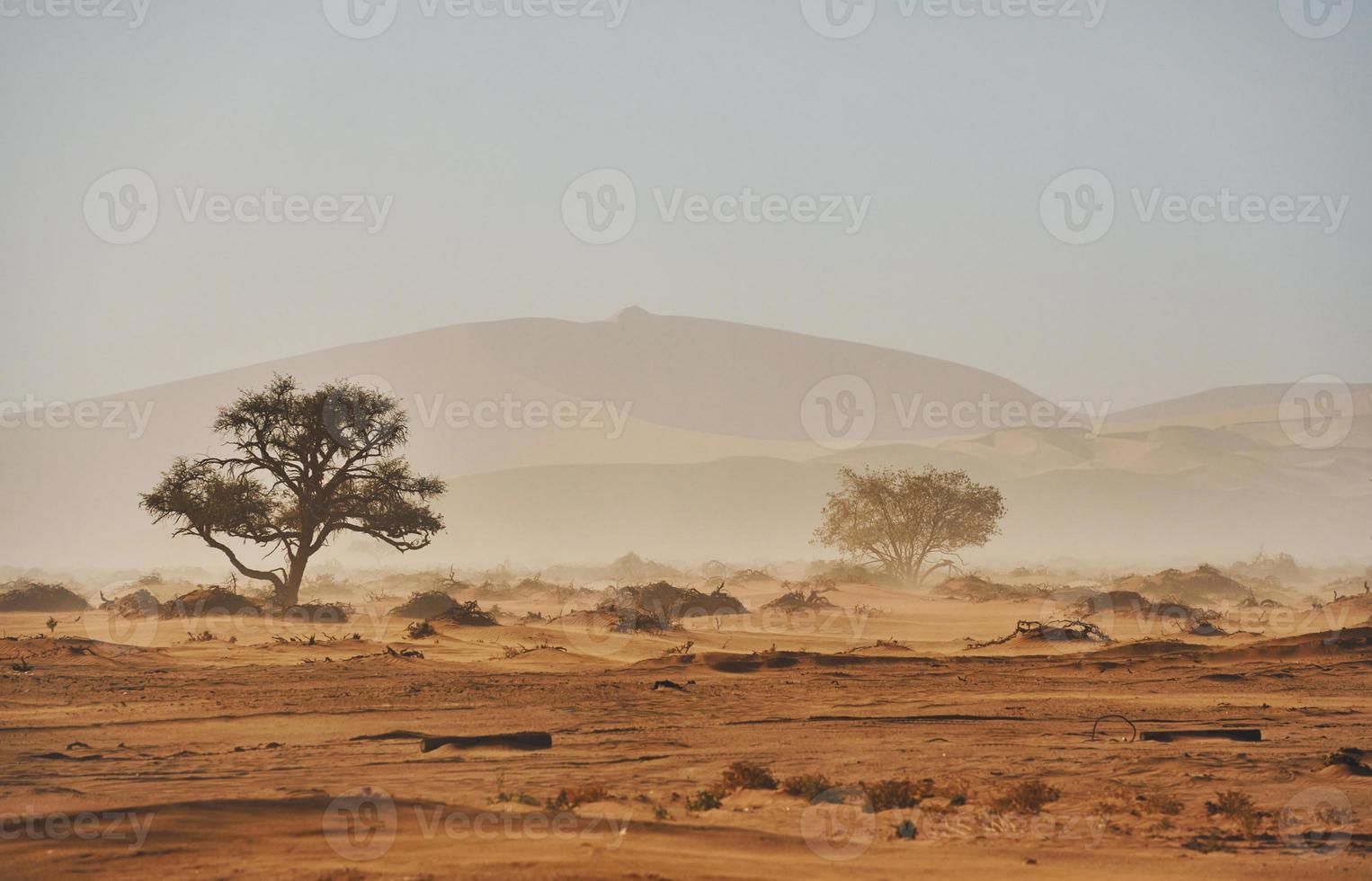 Large distance. Majestic view of amazing landscapes in African desert photo
