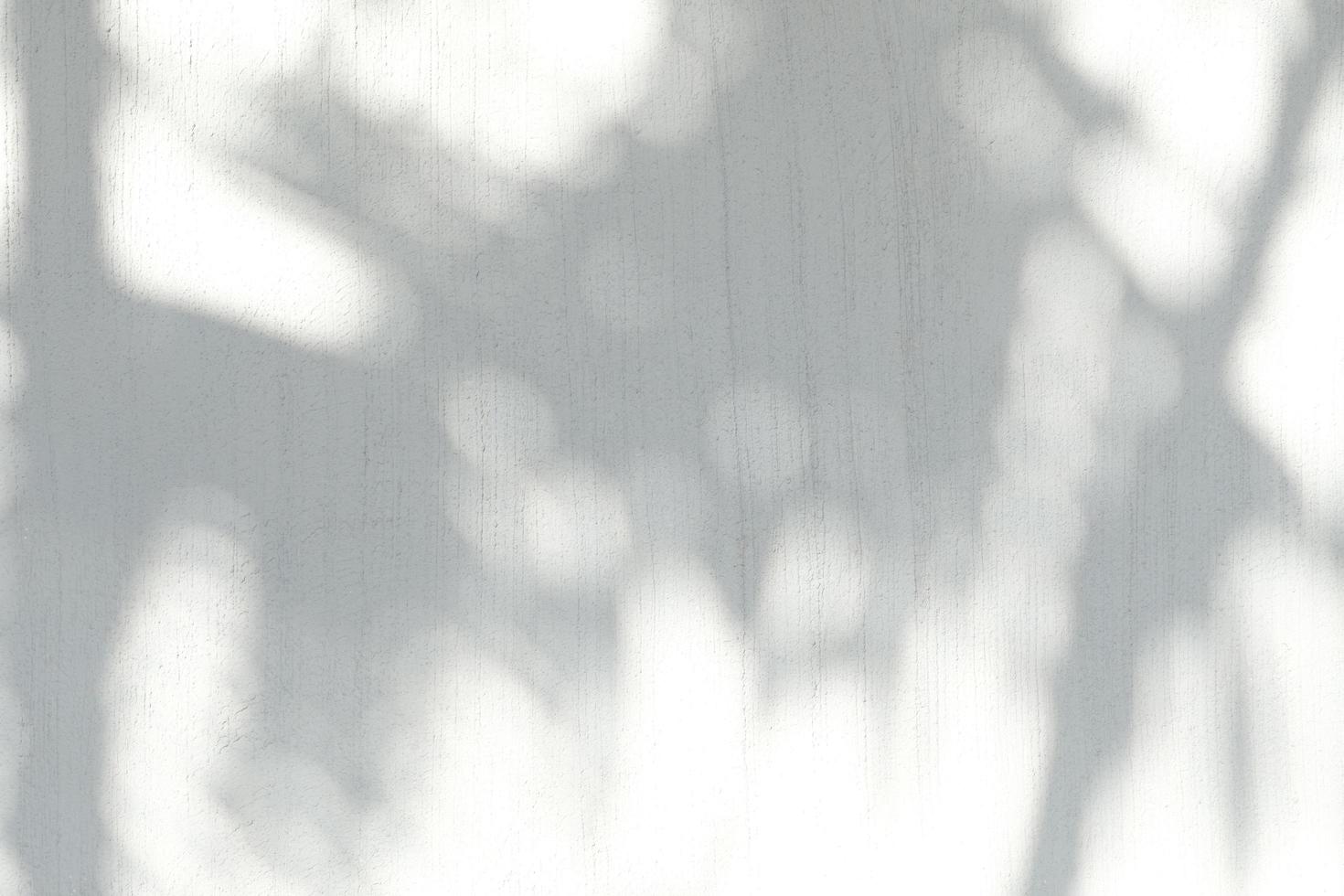 Fondo de sombra de hojas abstractas en textura de pared de hormigón foto