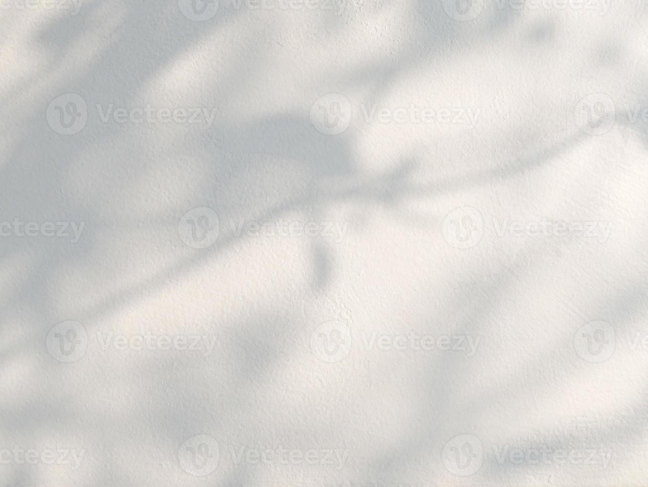 Leaves natural shadow on concrete wall background photo