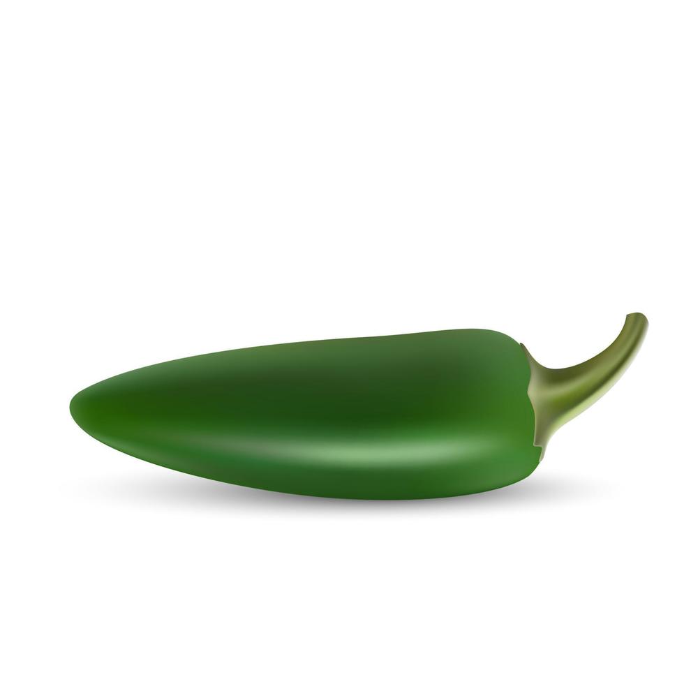 natural hoti pepper vector