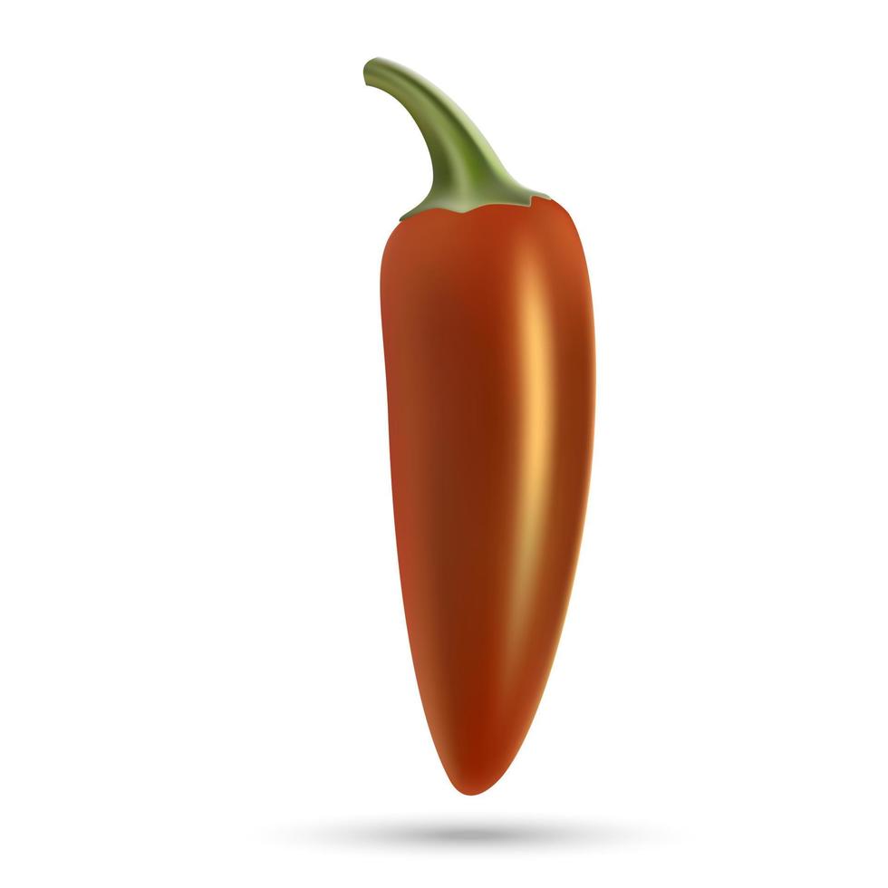 natural hoti pepper vector