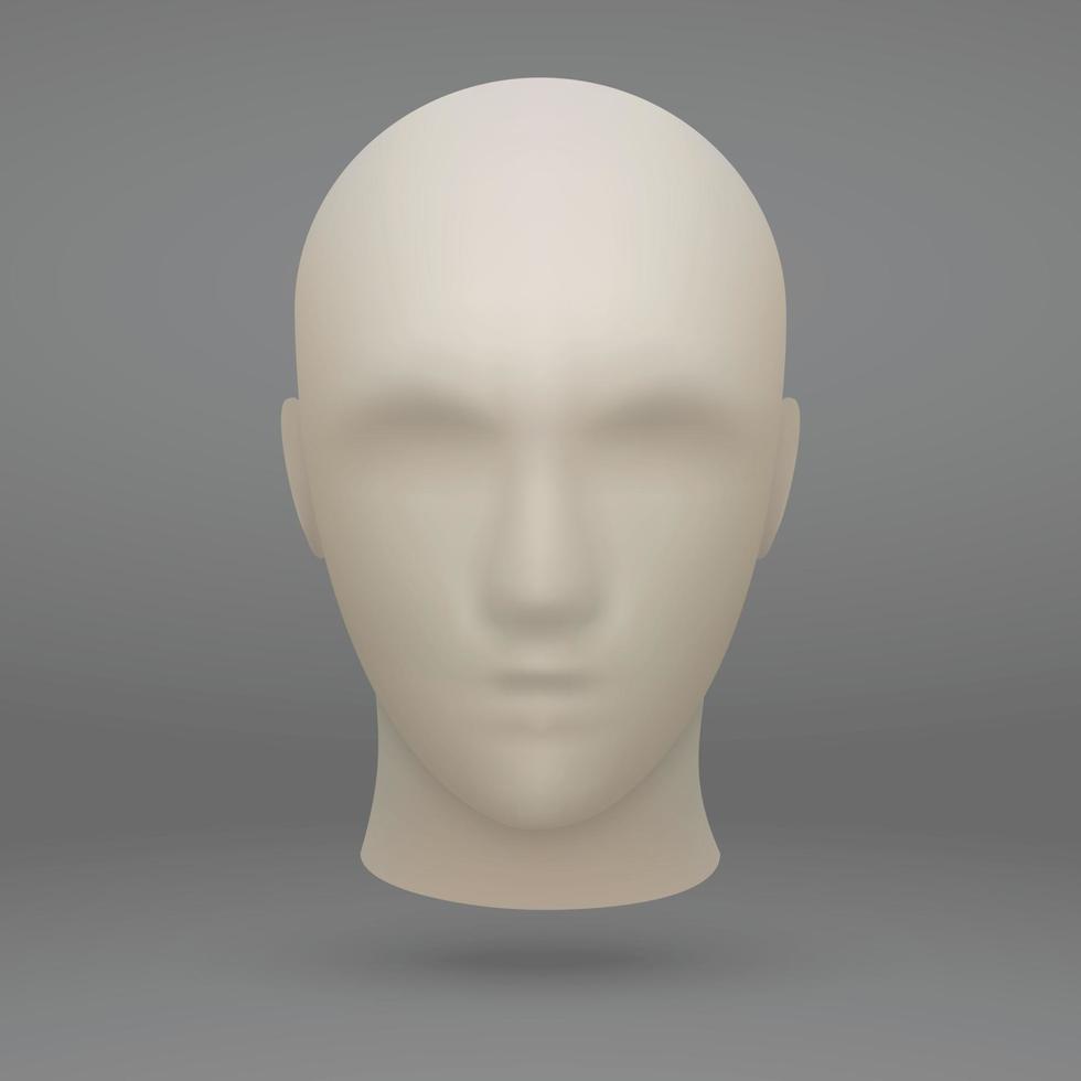 3d mannequin head vector