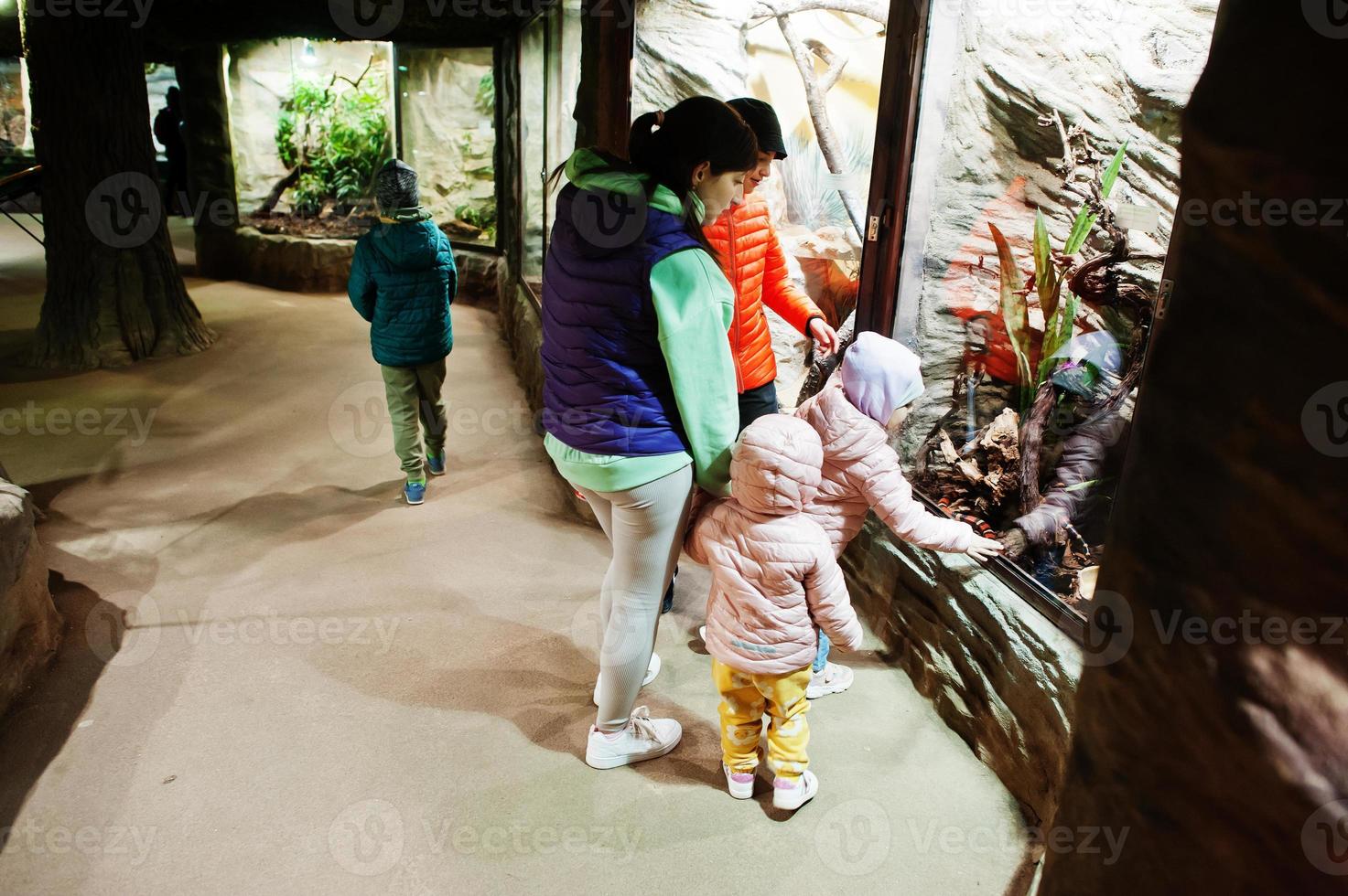 Mother with four kids discovering and watching animals at zoo. photo