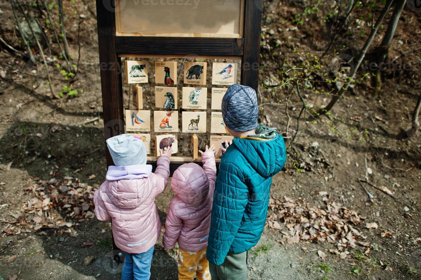 Kids learn birds in wooden desk at zoo. photo