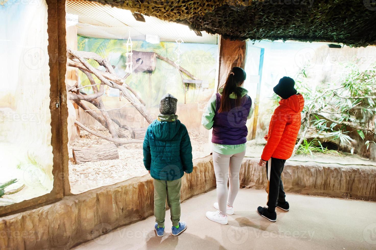 Mother with kids discovering and watching animals at zoo. photo