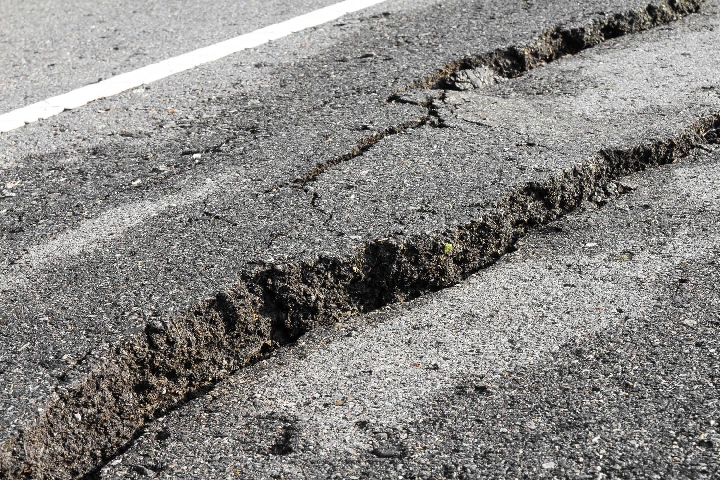 Wet asphalt cracks photo