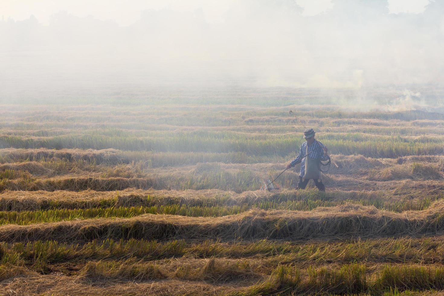 Farmers burn straw in the field photo