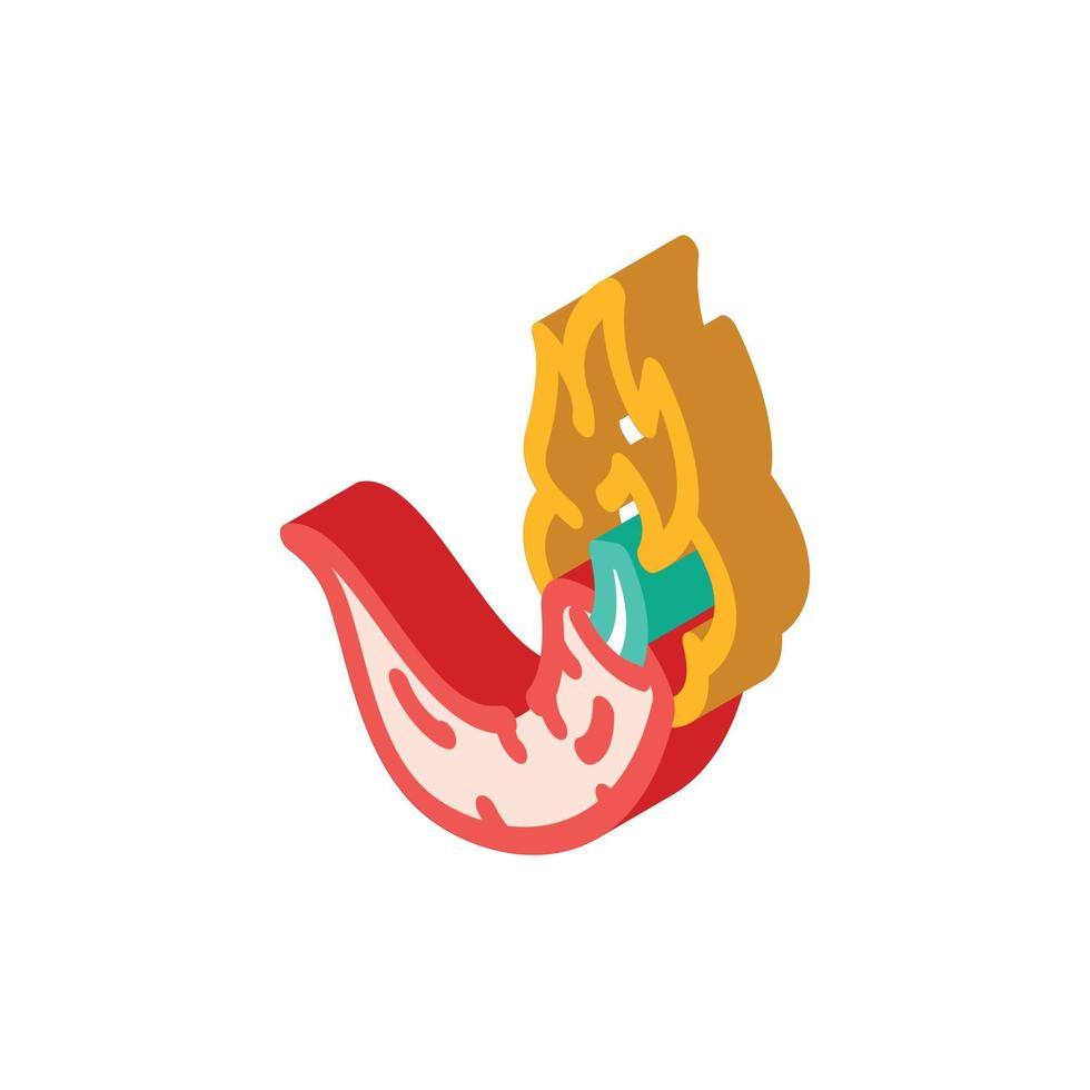 cayenne pepper burning vegetable isometric icon vector illustration