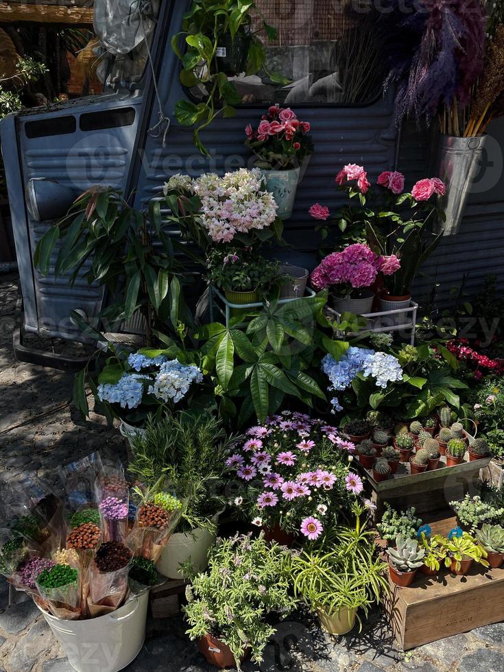 unas hermosas flores para regalar foto