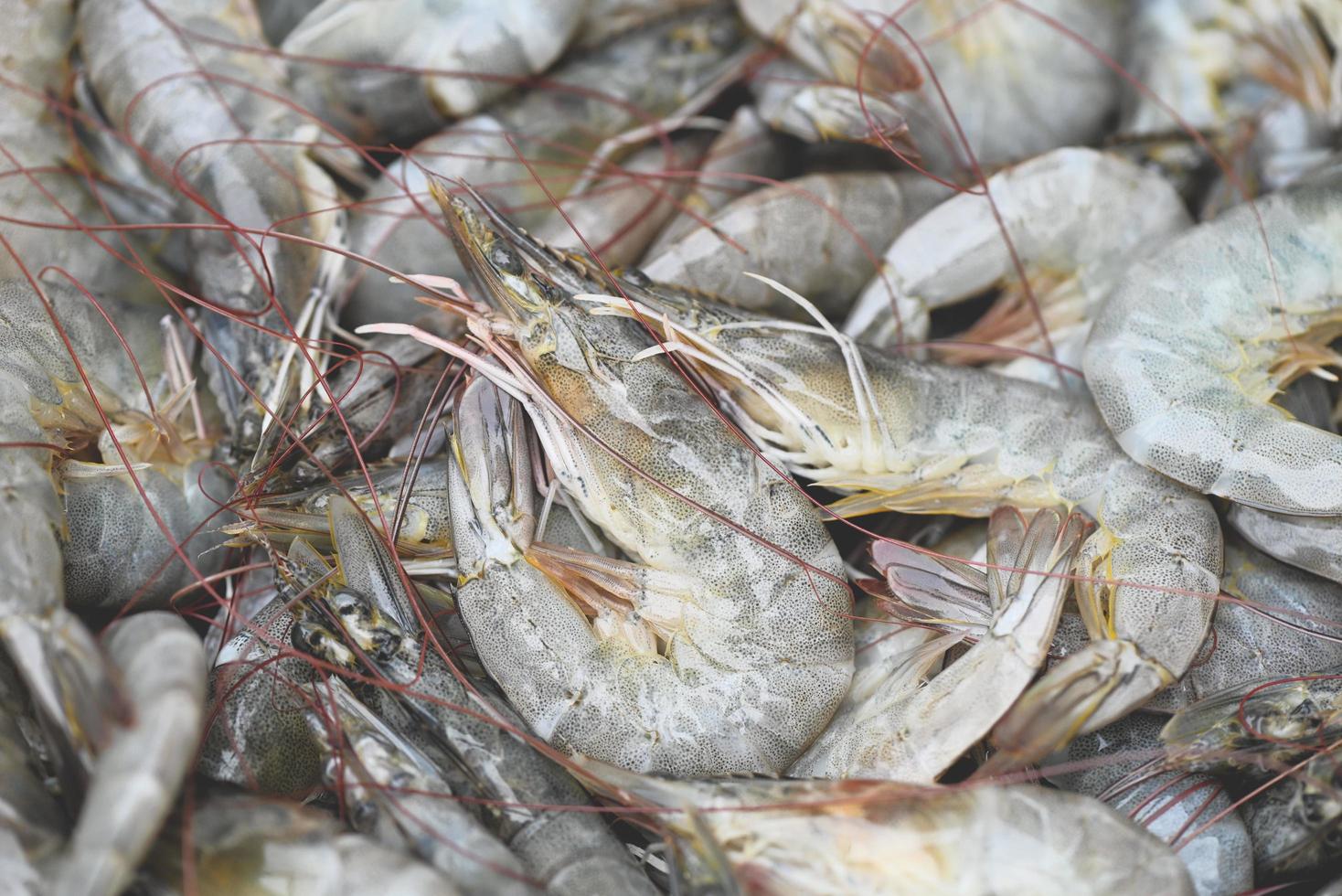 raw shrimps on washing shrimp on bowl shrimps background , fresh shrimp prawns for cooking seafood food in the kitchen photo