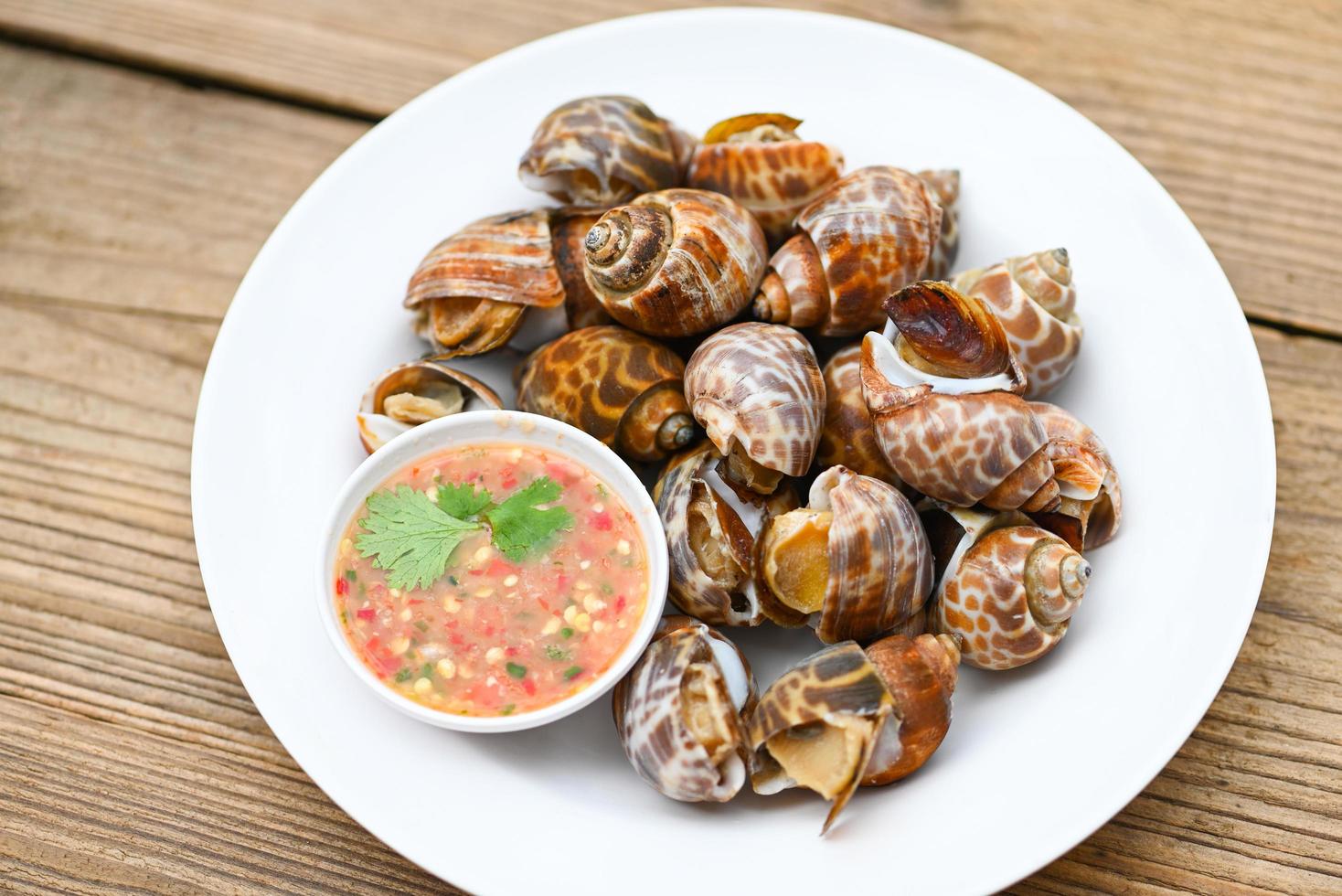 Fresh Spotted babylon Sea shell limpet ocean gourmet seafood in the restaurant, Babylonia areolata shellfish seafood on white plate with seafood sauce on table background photo