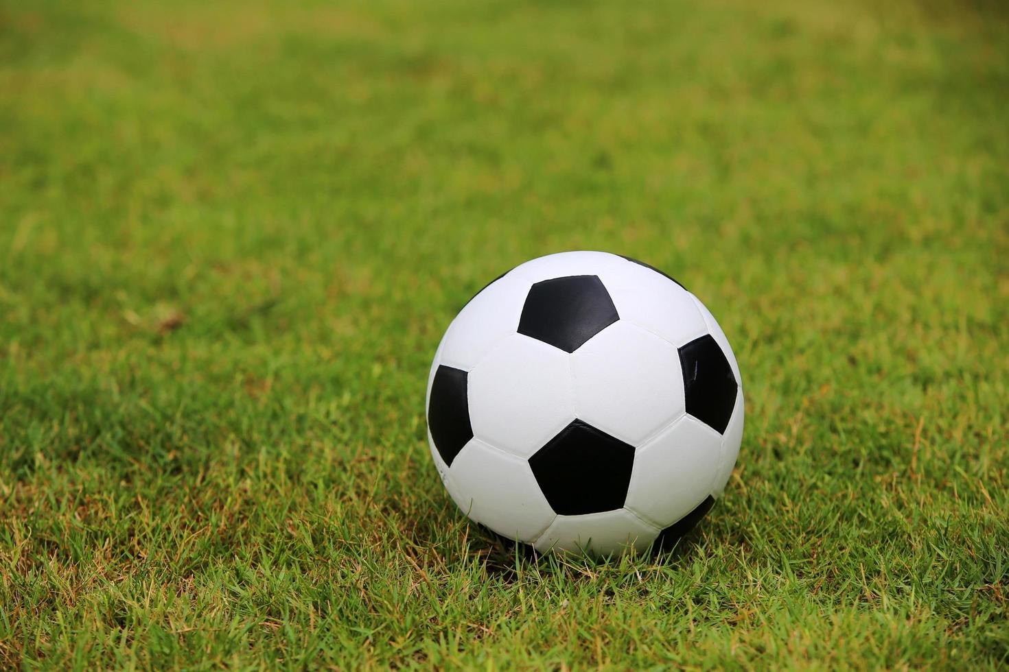 Soccer ball on a grass football field. photo