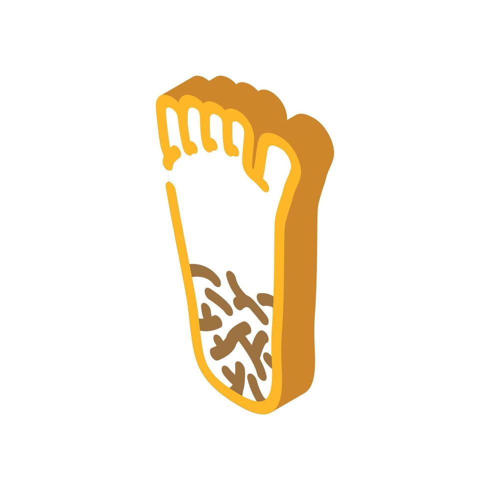 cracked heels isometric icon vector illustration