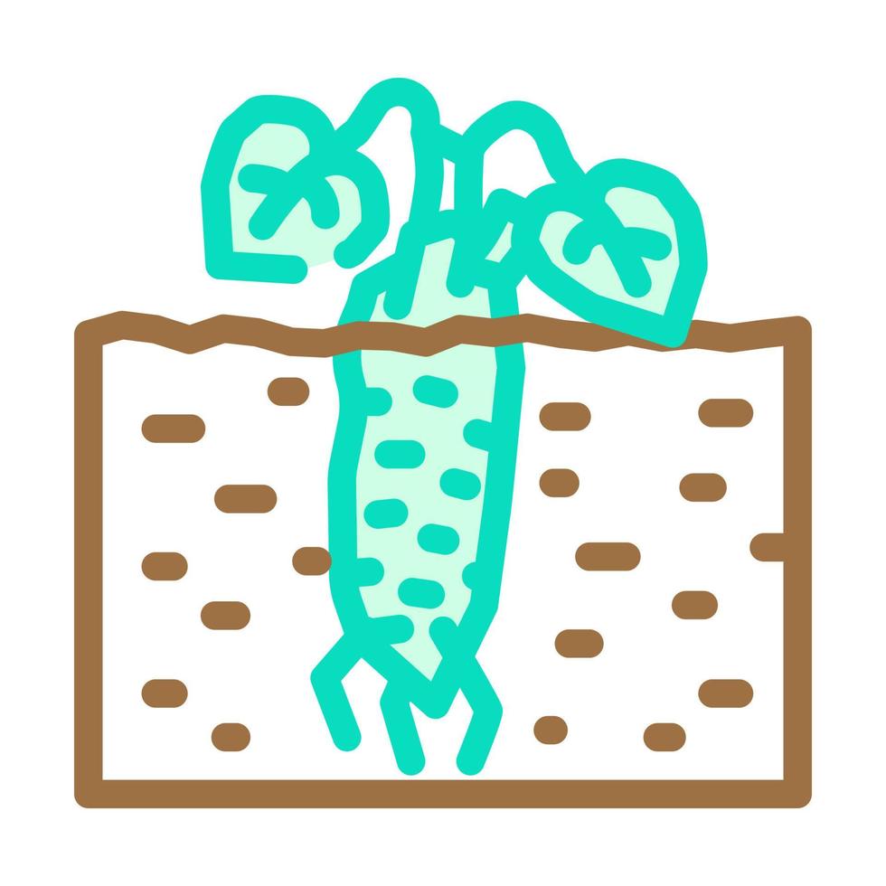 raíz planta wasabi color icono vector ilustración
