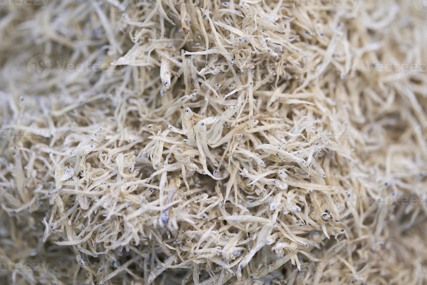 Close up Pile of dried ricefish, thai street food market photo