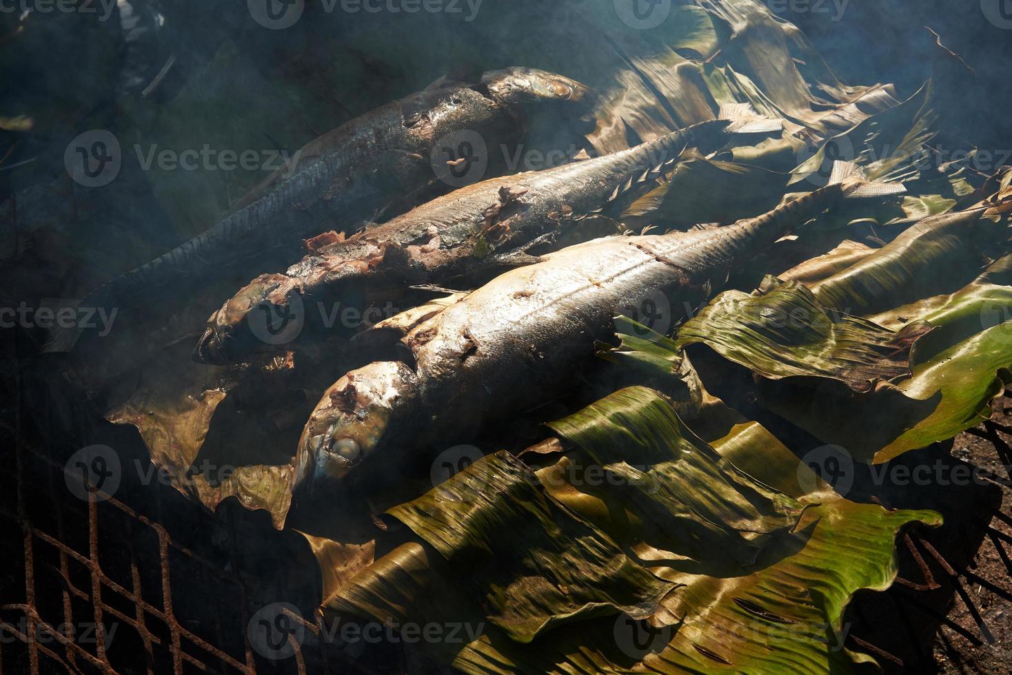 delicioso pescado de cola dura a la parrilla y humo en el horno foto