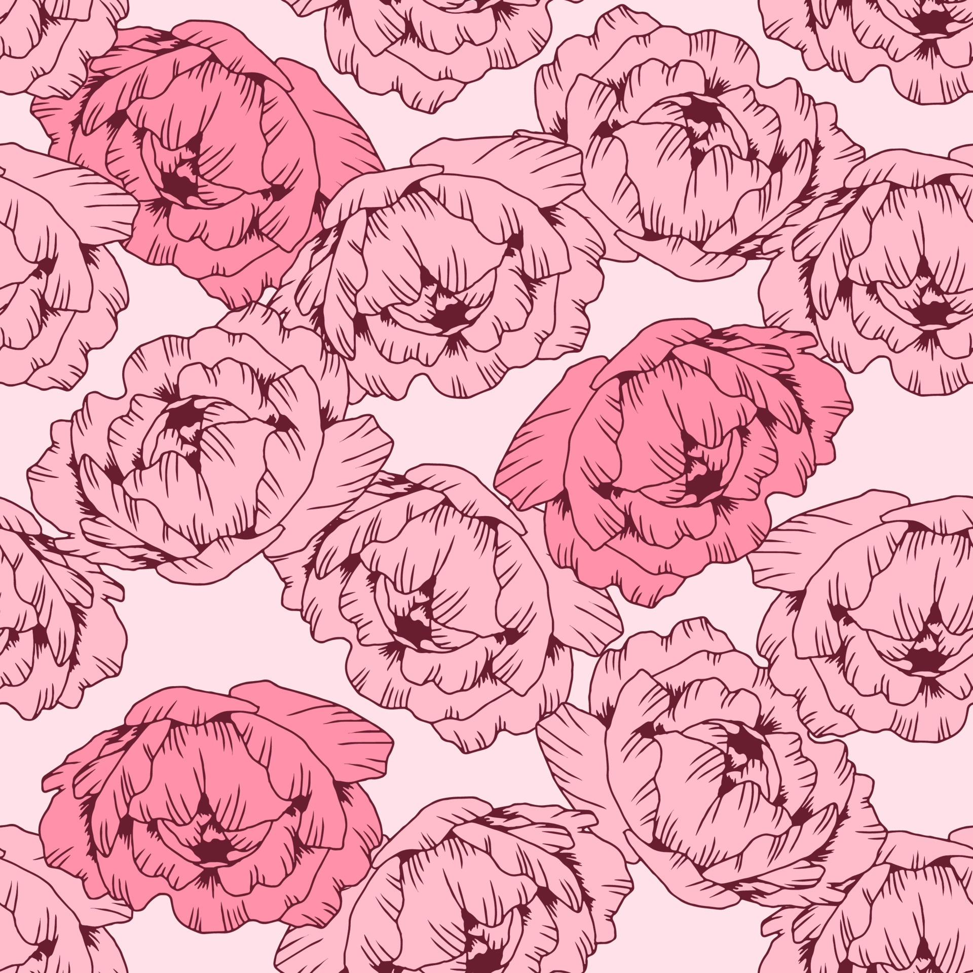 Hand drawn pink pattern peony flower, isolated on white. Vector line