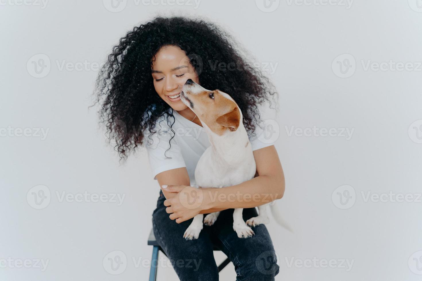 Cute happy woman with curly hair gets kiss from jack russell terrier feels love to favourite pet takes pleasure in company of dog sits on chair against white background. Love between owner and animal. photo