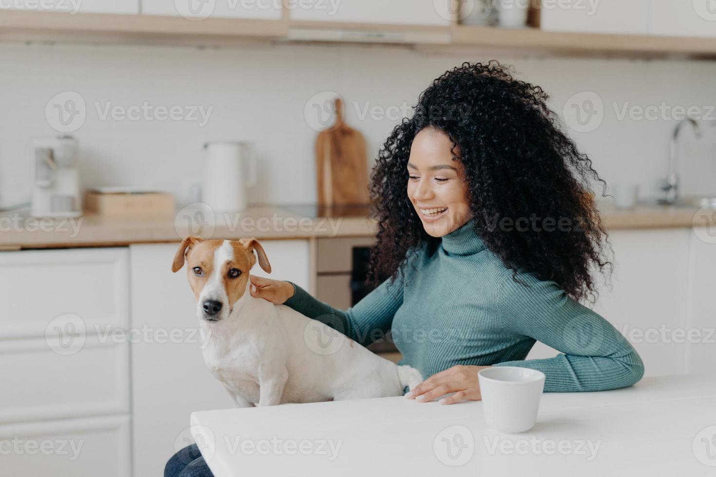 mujer juguetona con corte de pelo afro, acaricia a su perro de raza, se divierten juntos, posan en una cocina acogedora, beben café, se ríen alegremente. jovencita rizada contenta de vivir con mascota, disfruta del ambiente doméstico. foto