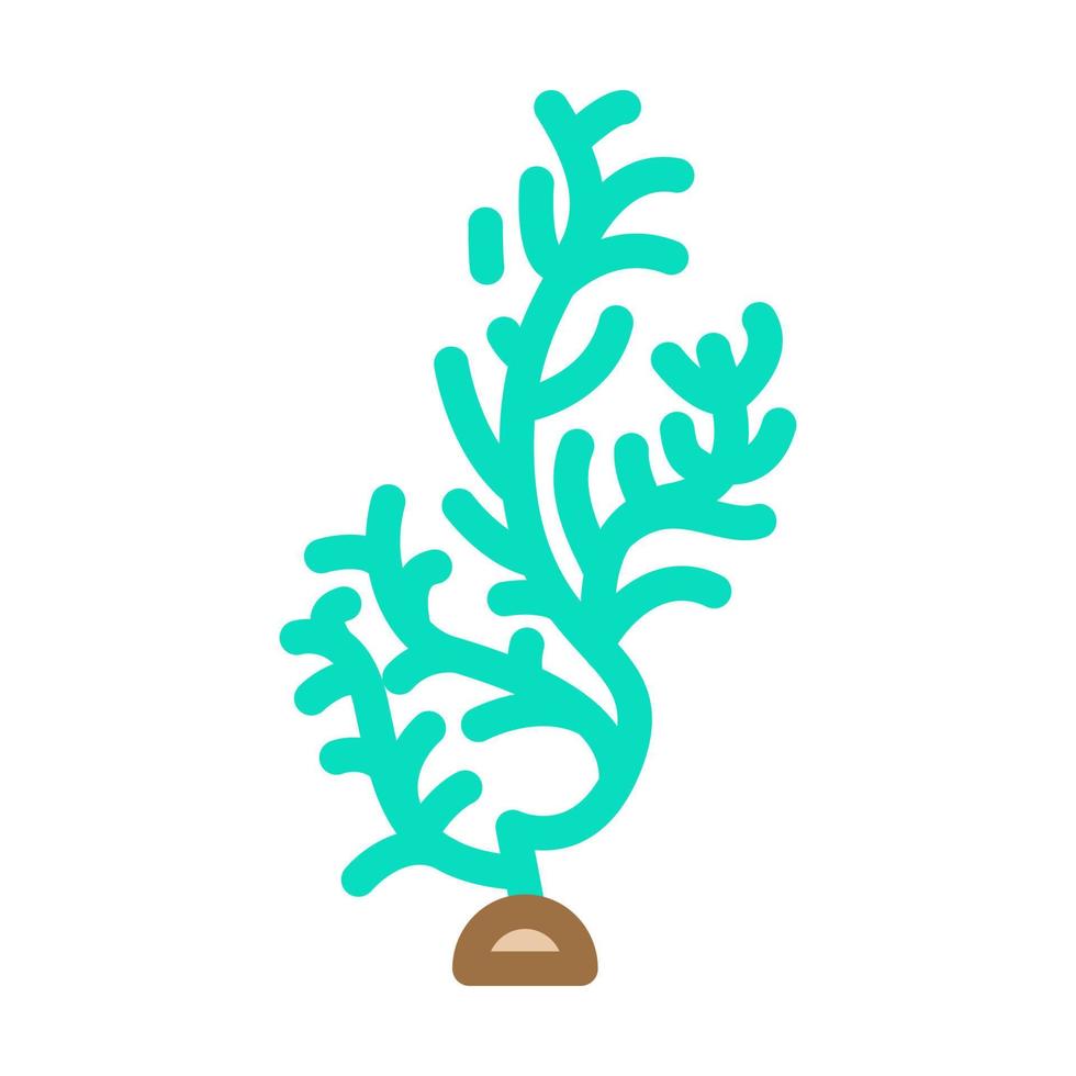 cladophora glomerata seaweed color icon vector illustration
