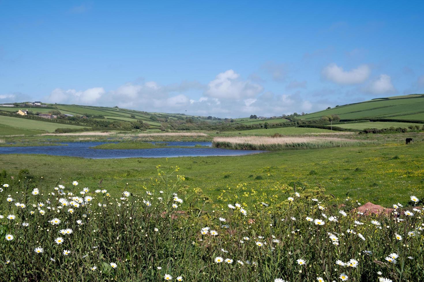 Scenic view of the countryside at South Huish Wetlands Reserve in Devon photo