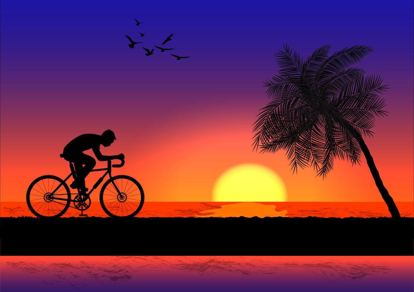 graphics image man riding a bicycle at evening with a sunset background and orange silhouette of sunset with dark grass on the ground vector illustration