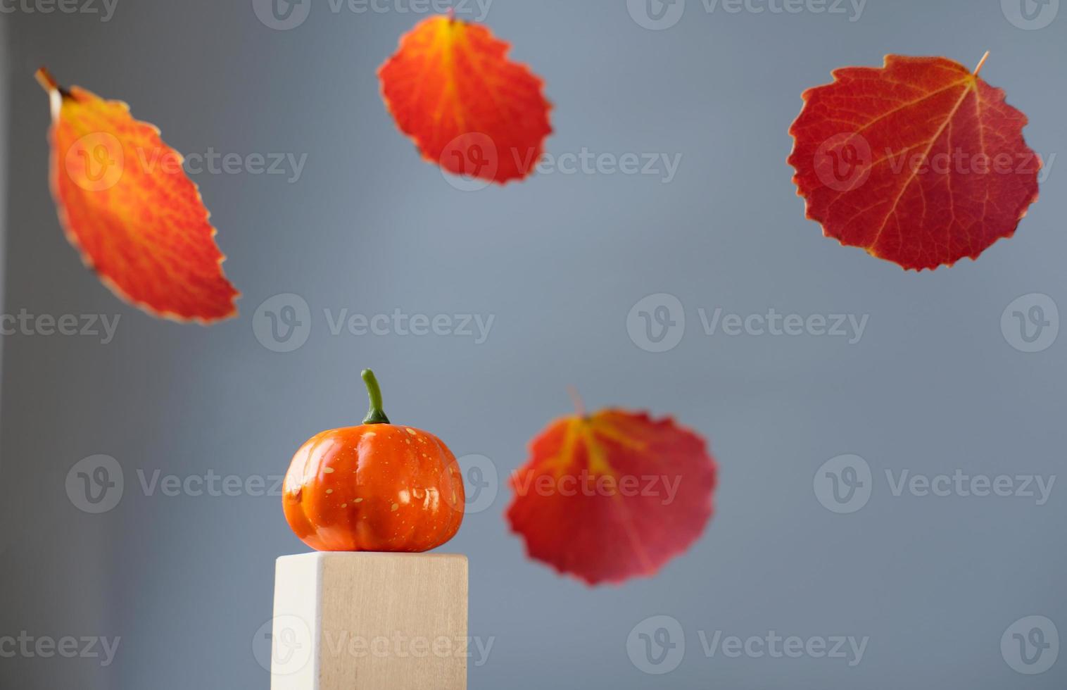 hojas rojas de otoño y calabaza pequeña en un podio de madera foto