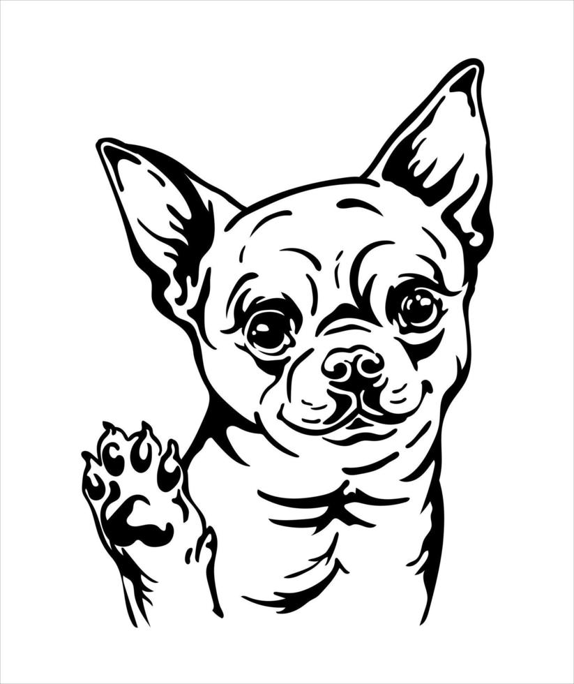 Chihuahua dog vector contour portrait vector black