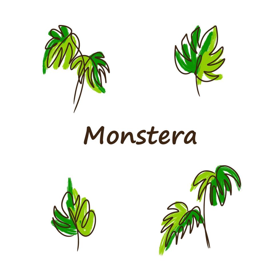 conjunto monstera, dibujo lineal, color verde vector